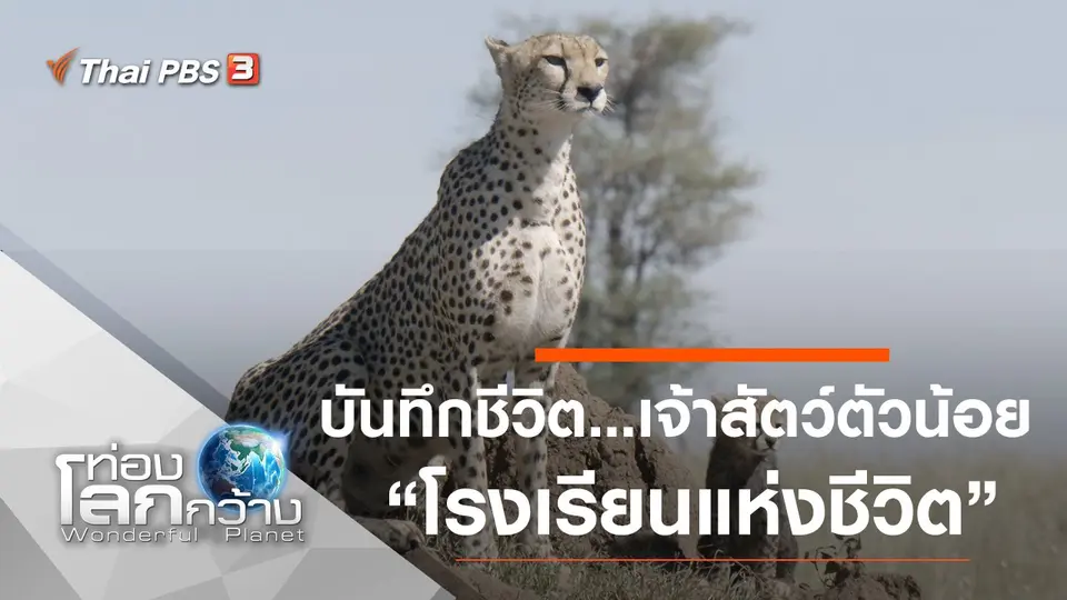 ท่องโลกกว้าง