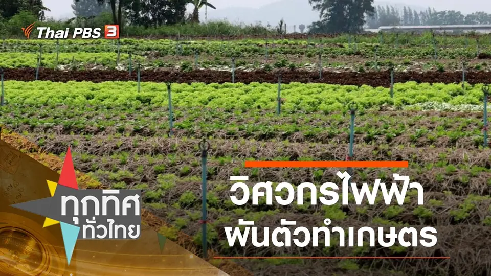 วิศวกรไฟฟ้าผันตัวทำเกษตร