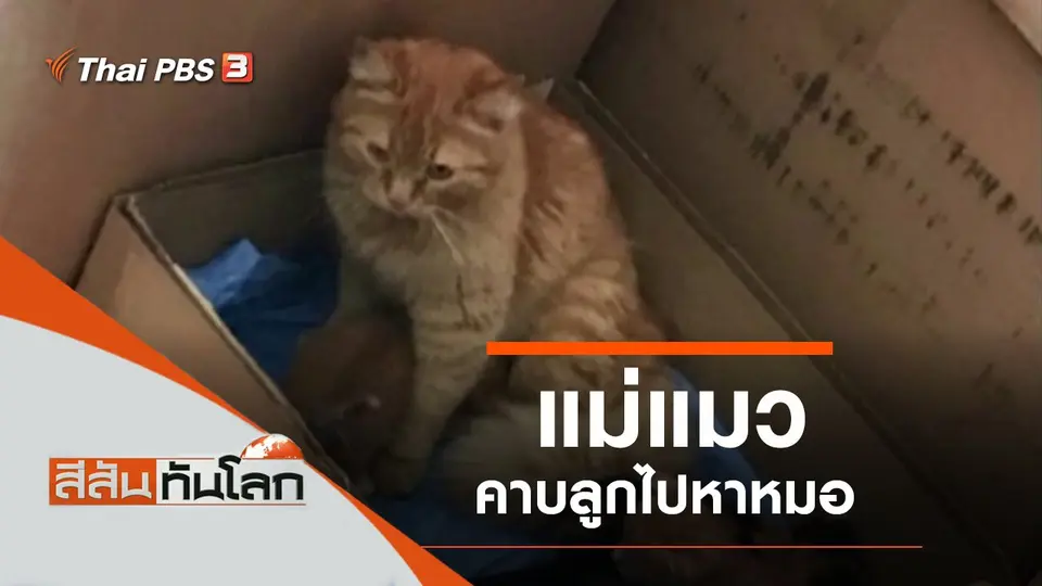 ประเด็นข่าว (3 เม.ย. 64)