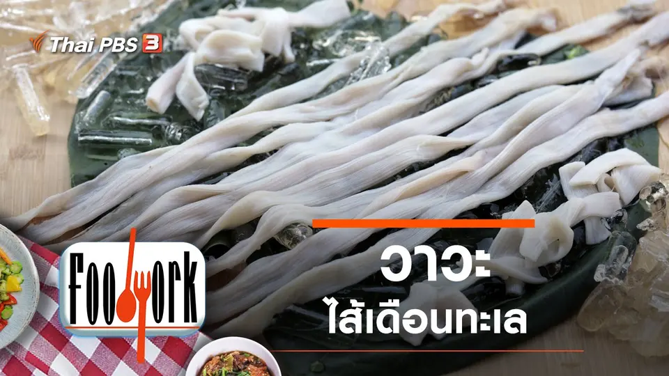 วาวะ...ไส้เดือนทะเล