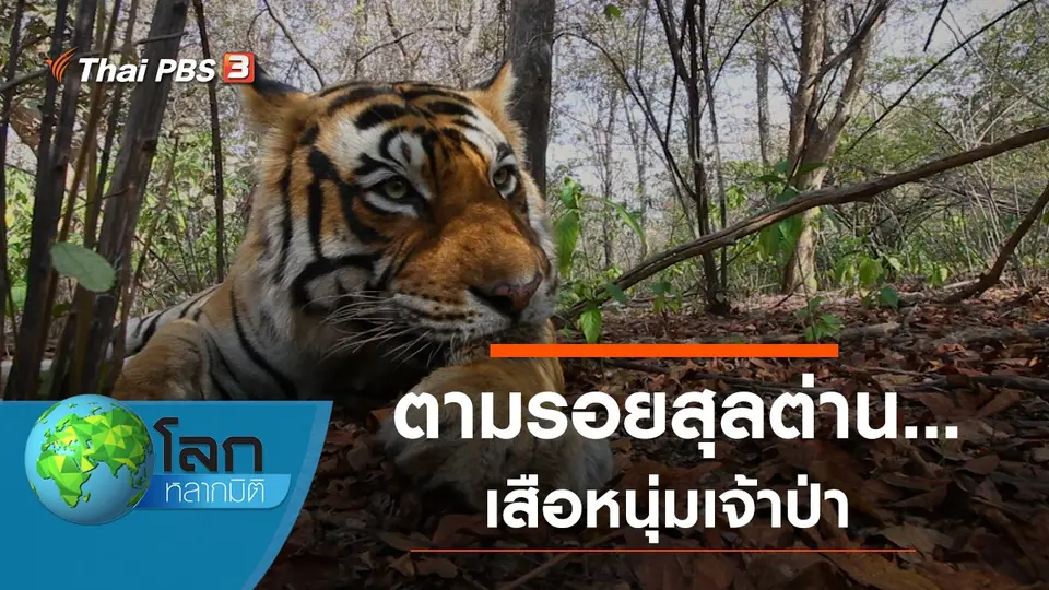 โลกหลากมิติ