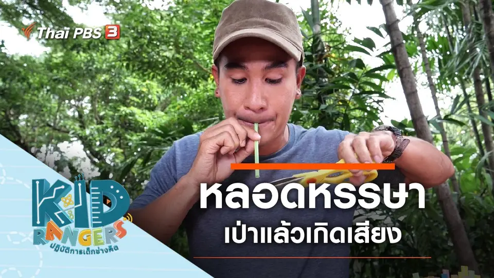 หลอดหรรษา