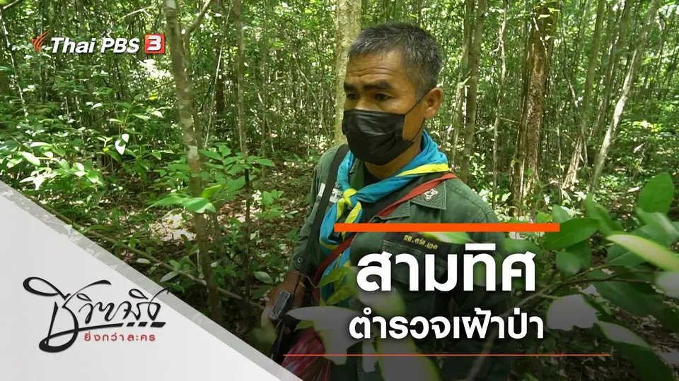 สามทิศ ตำรวจเฝ้าป่า