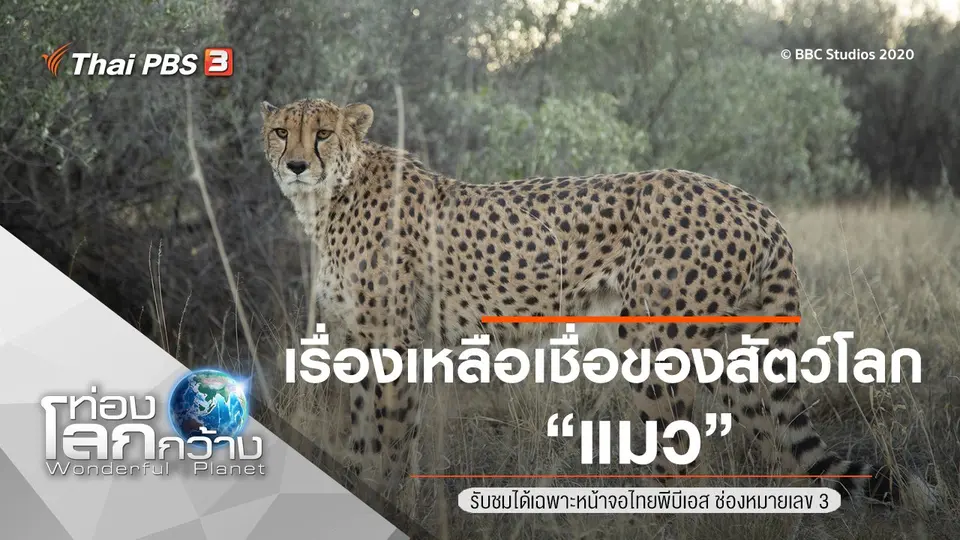 ท่องโลกกว้าง