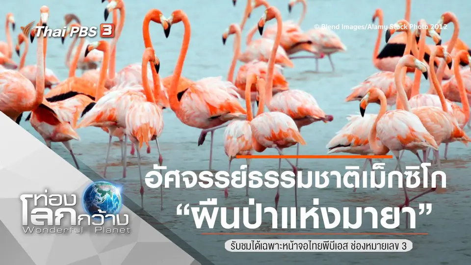 ท่องโลกกว้าง