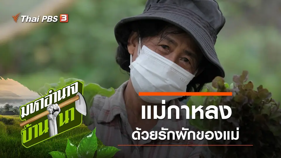 แม่กาหลง ด้วยรักผักของแม่