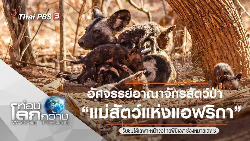 ท่องโลกกว้าง