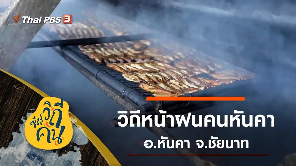 ซีรีส์วิถีคน