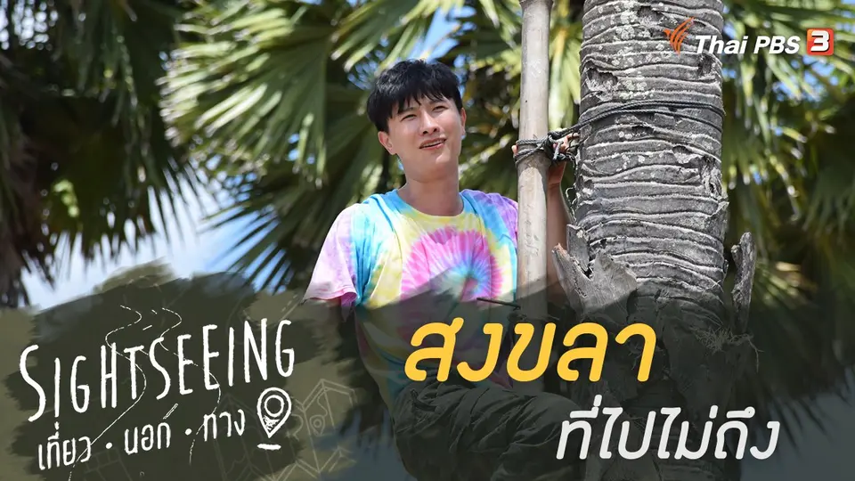 Sightseeing เที่ยวนอกทาง