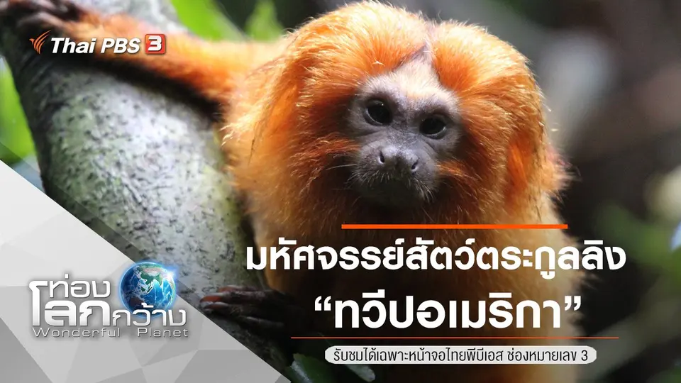 ท่องโลกกว้าง