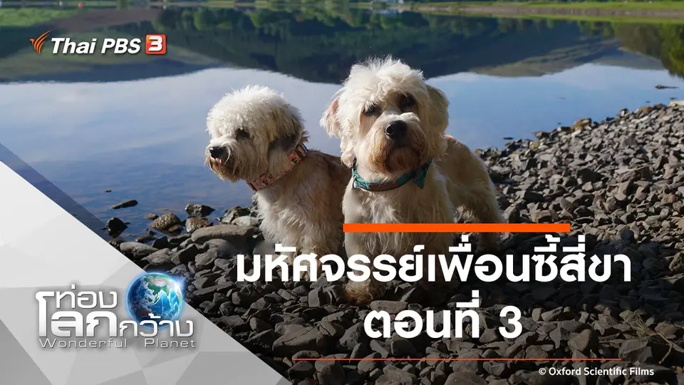 ท่องโลกกว้าง