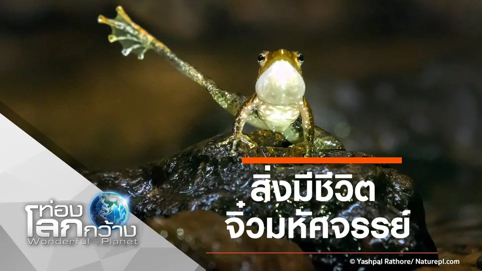 ท่องโลกกว้าง