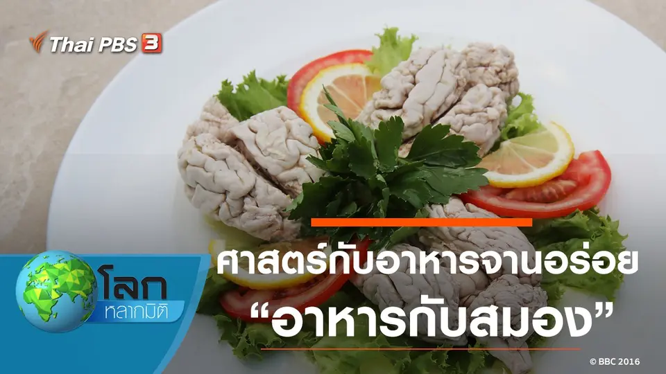 โลกหลากมิติ