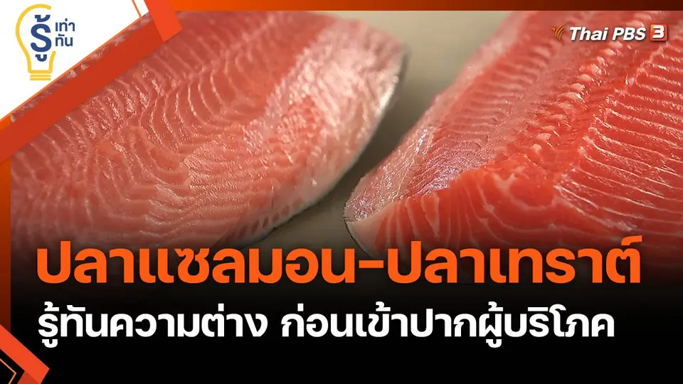 รู้ทันความต่างปลาแซลมอน-ปลาเทราต์ ก่อนเข้าปากผู้บริโภค
