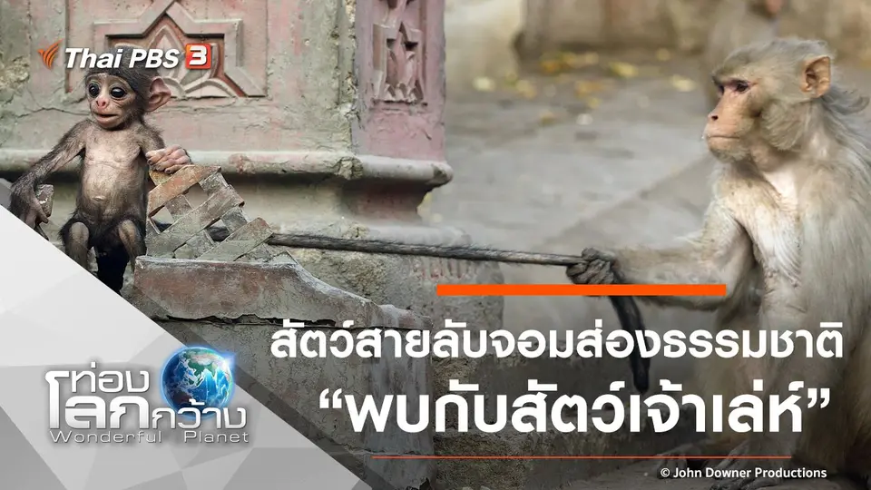 ท่องโลกกว้าง