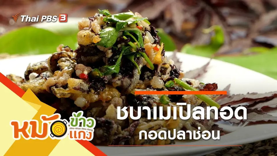 ชบาเมเปิลทอด กอดปลาช่อน