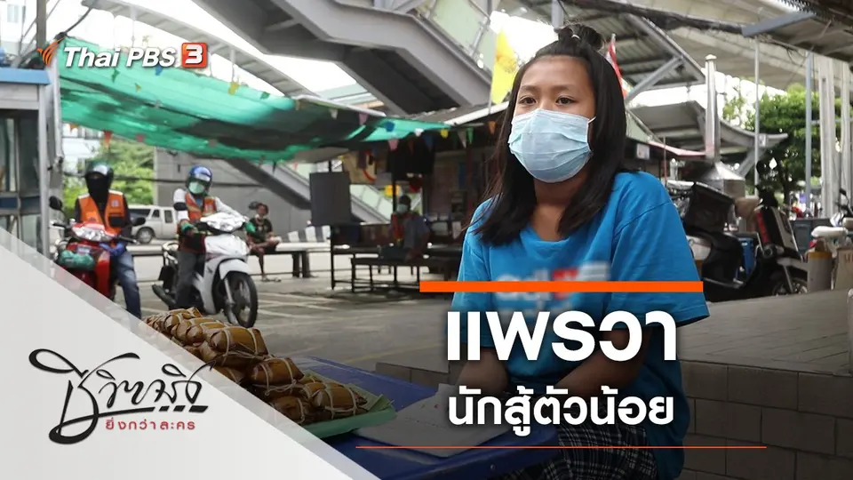แพรวานักสู้ตัวน้อย