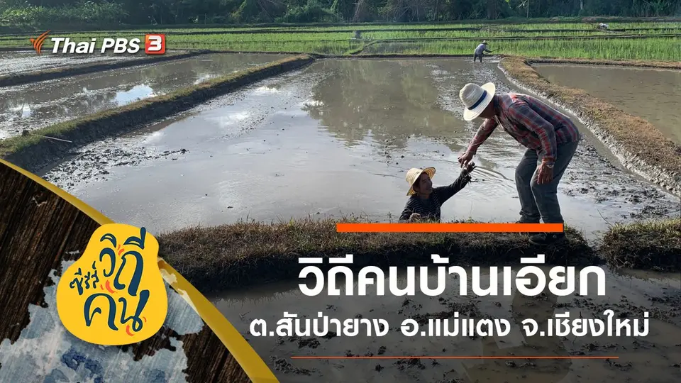 วิถีคนบ้านเอียก ต.สันป่ายาง อ.แม่แตง จ.เชียงใหม่