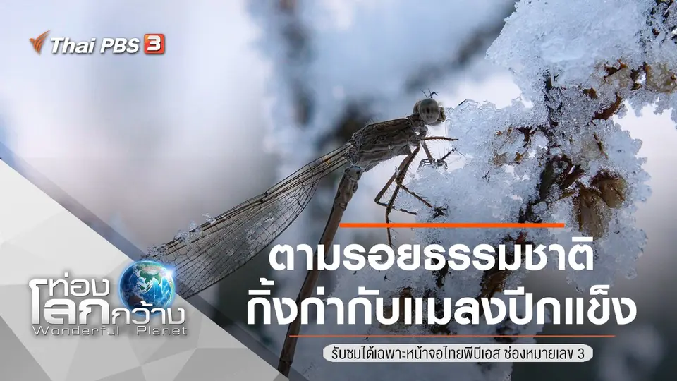 ท่องโลกกว้าง