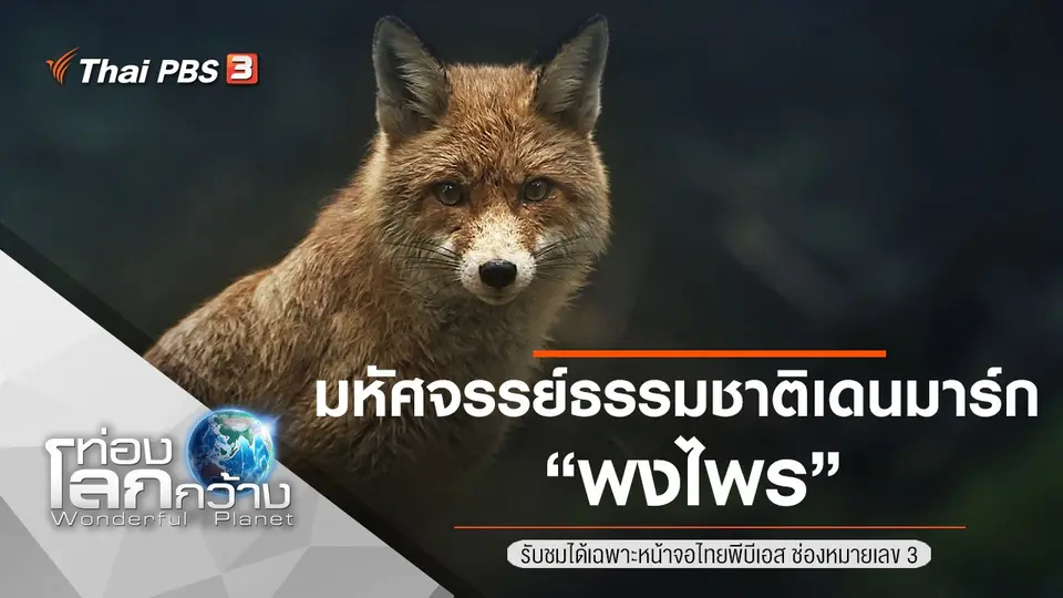ท่องโลกกว้าง
