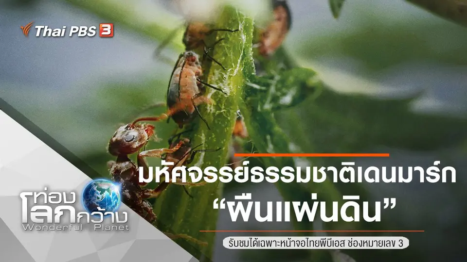 ท่องโลกกว้าง