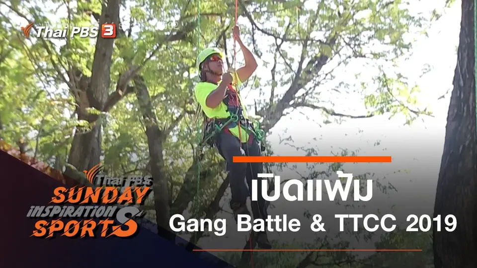 เปิดแฟ้ม Gang Battle & TTCC 2019
