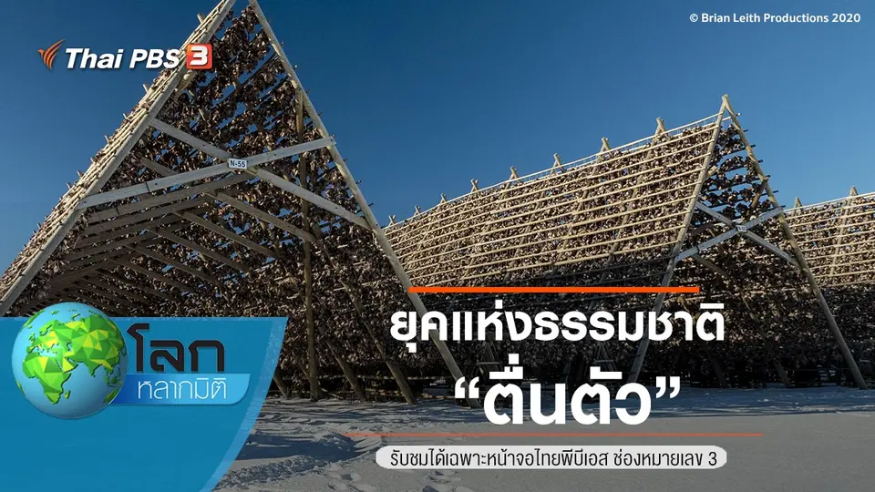 โลกหลากมิติ