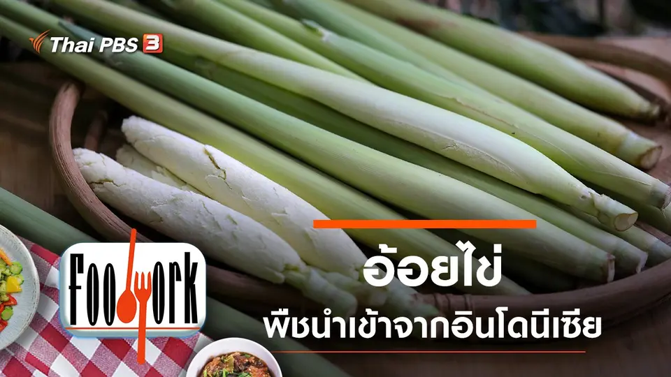 อ้อยไข่