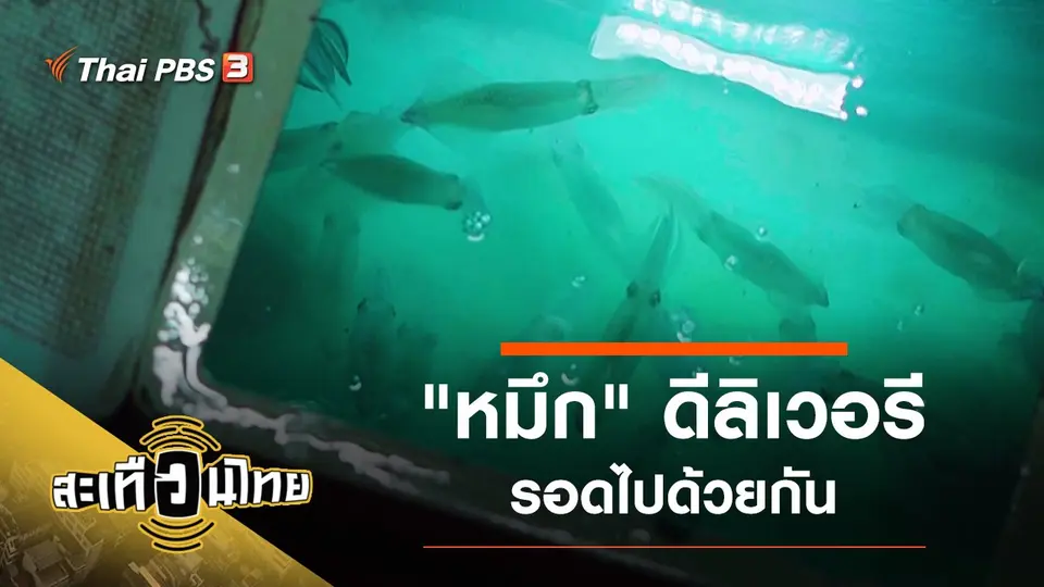 ​"หมึก" ดีลิเวอรี รอดไปด้วยกัน