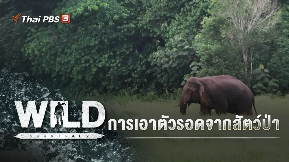 การเอาตัวรอดจากสัตว์ป่า