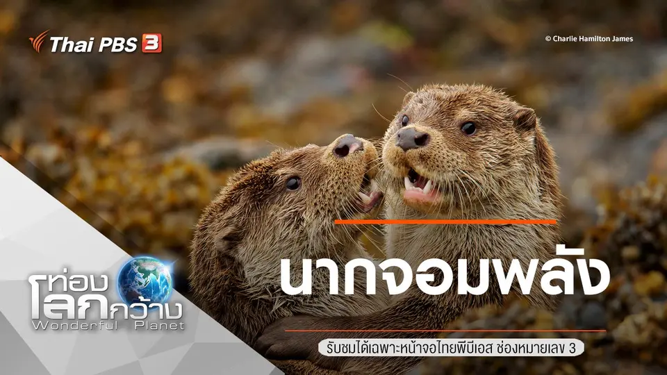 ท่องโลกกว้าง