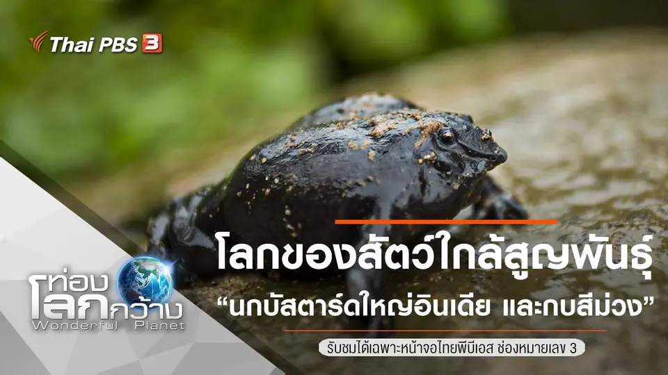 ท่องโลกกว้าง