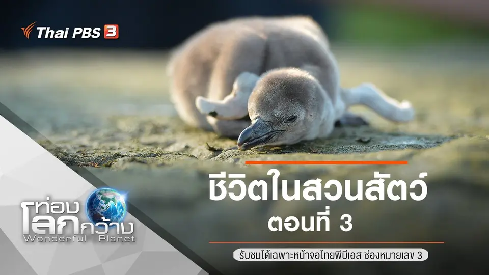 ท่องโลกกว้าง