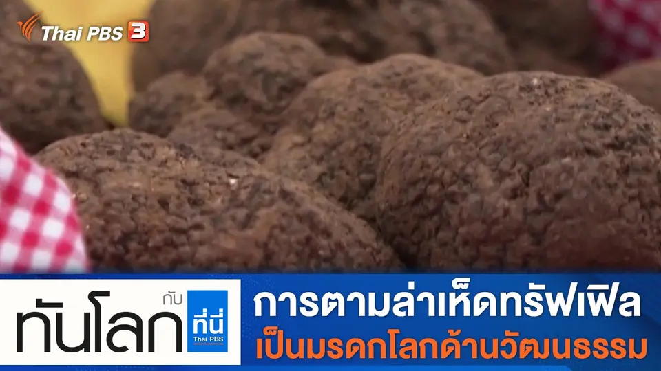 ประเด็นข่าว (8 ก.พ. 65)