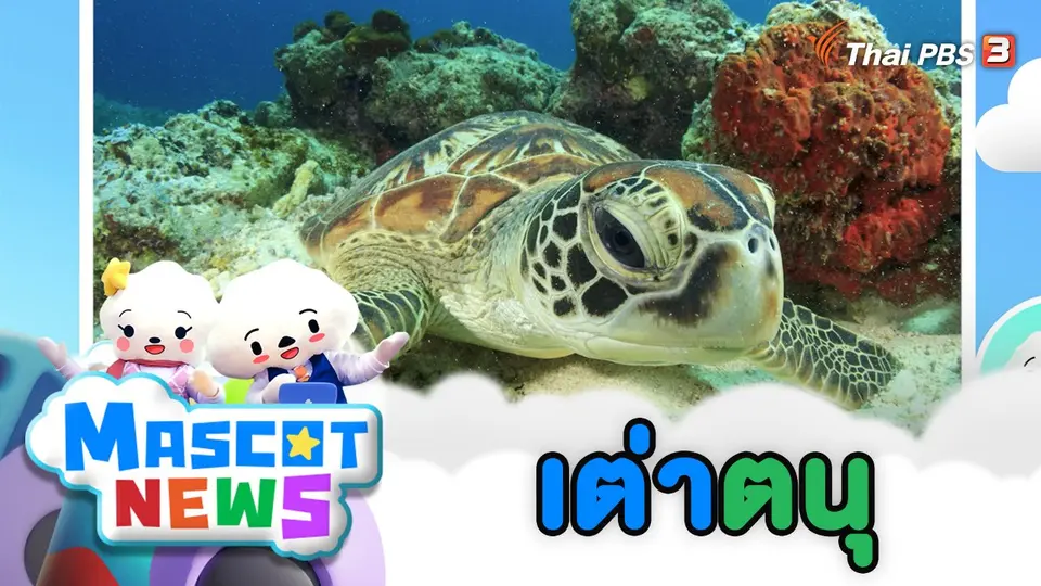 เต่าตนุ