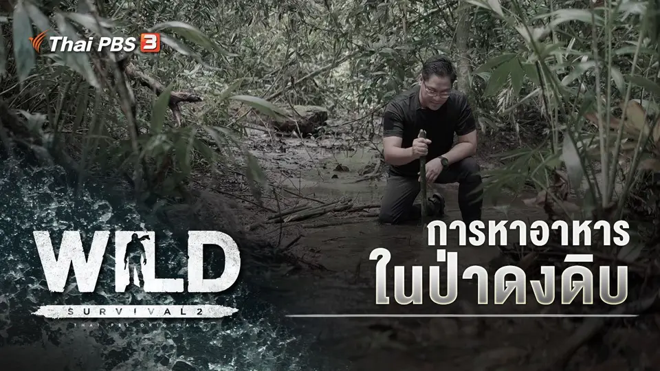 การหาอาหารในป่าดงดิบ