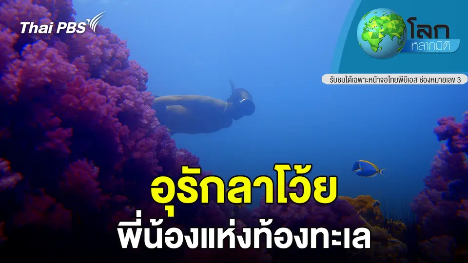 โลกหลากมิติ