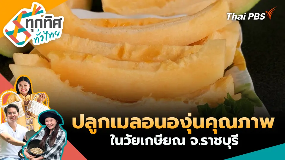 ปลูกเมลอนองุ่นคุณภาพในวัยเกษียณ จ.ราชบุรี
