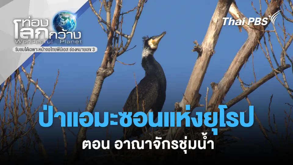 ท่องโลกกว้าง