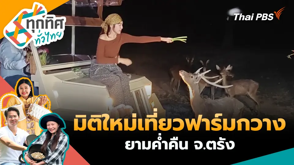 มิติใหม่เที่ยวฟาร์มกวางยามค่ำคืน จ.ตรัง