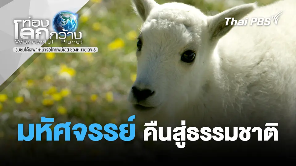 ท่องโลกกว้าง