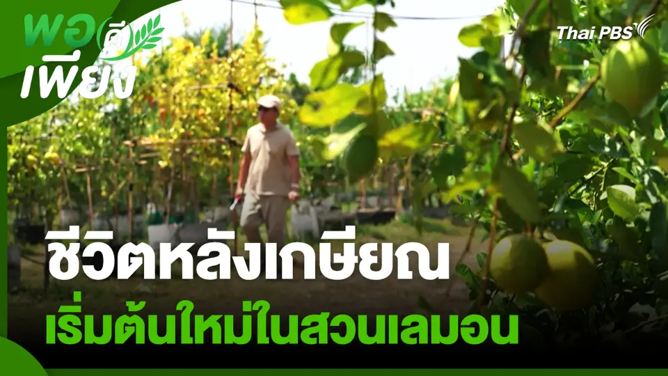 ชีวิตหลังเกษียณ เริ่มต้นใหม่ในสวนเลมอน
