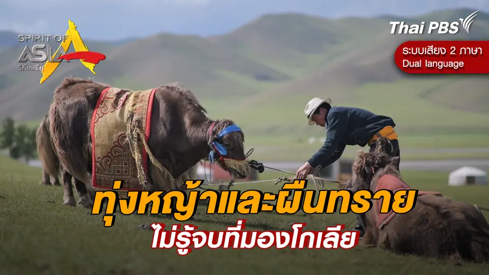 ทุ่งหญ้าและผืนทรายไม่รู้จบที่มองโกเลีย 