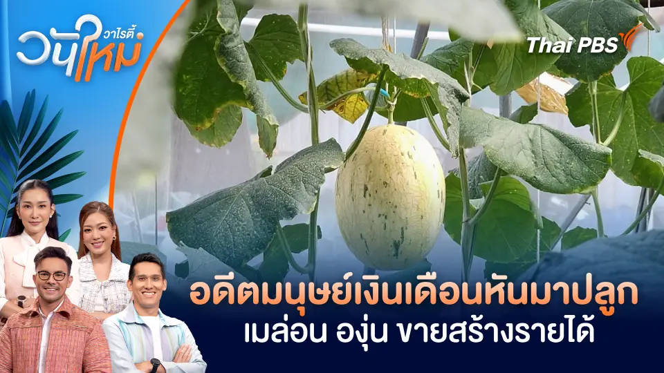 อดีตมนุษย์เงินเดือนหันมาปลูกเมล่อน องุ่น ขายสร้างรายได้ จ.ราชบุรี | วันใหม่วาไรตี้ | 15 ต.ค. 68