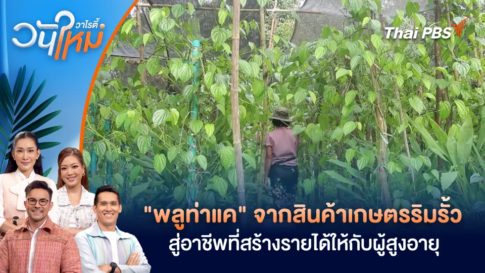 วันใหม่วาไรตี้