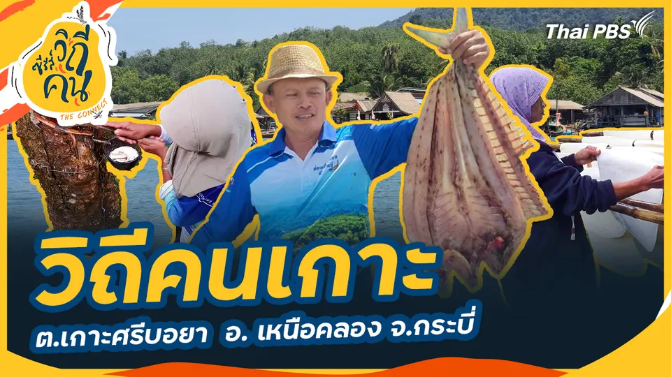 วิถีคนเกาะ ต.เกาะศรีบอยา  อ.เหนือคลอง จ.กระบี่