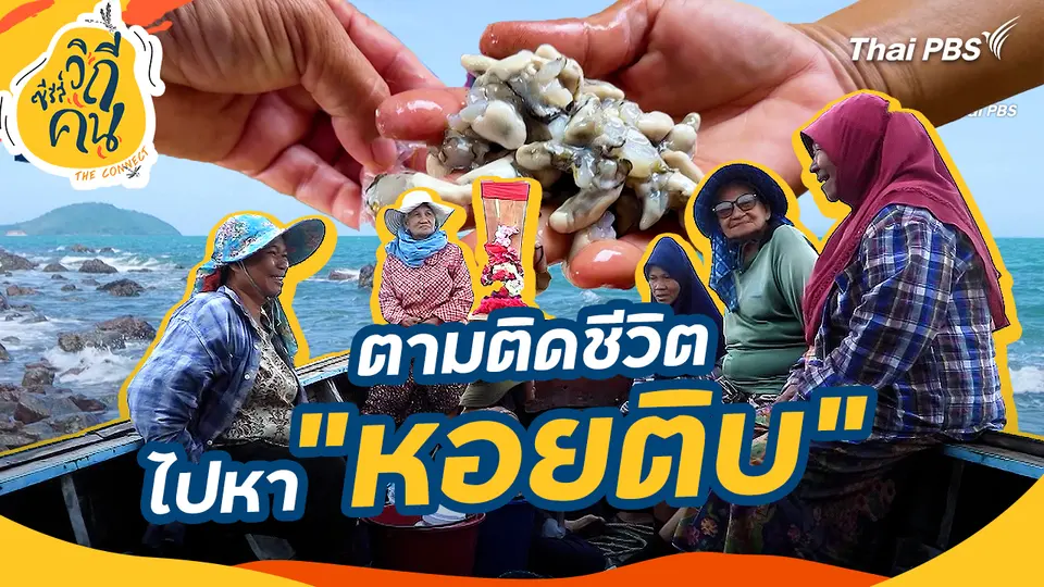 ช็อตเด็ดซีรีส์วิถีคน : ตามติดชีวิต ไปหา "หอยติบ"