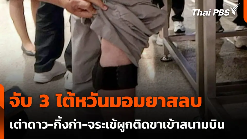 จับ 3 ไต้หวันมอมยาสลบเต่าดาว-กิ้งก่า-จระเข้ผูกติดขาเข้าสนามบิน