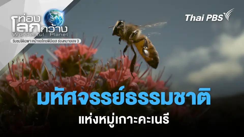 ท่องโลกกว้าง
