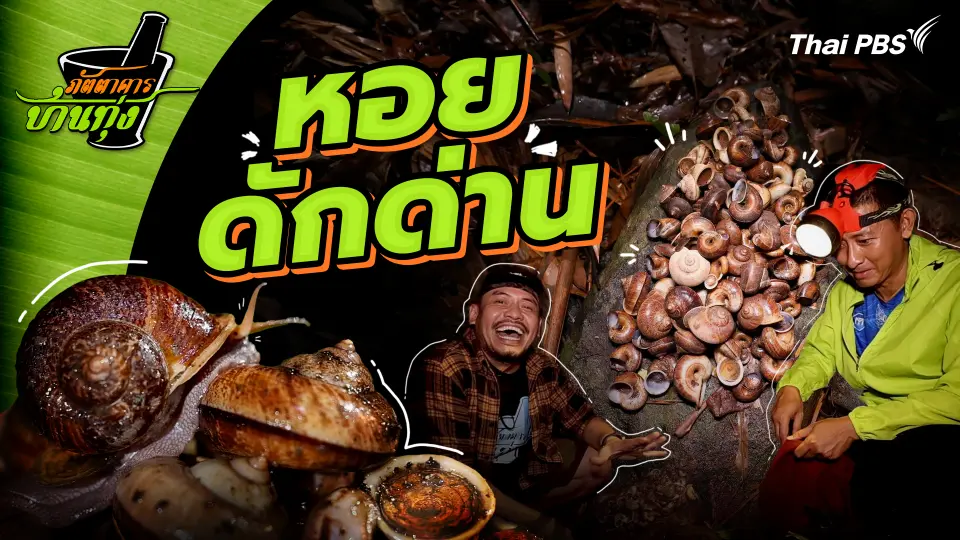 หอยดักด่าน